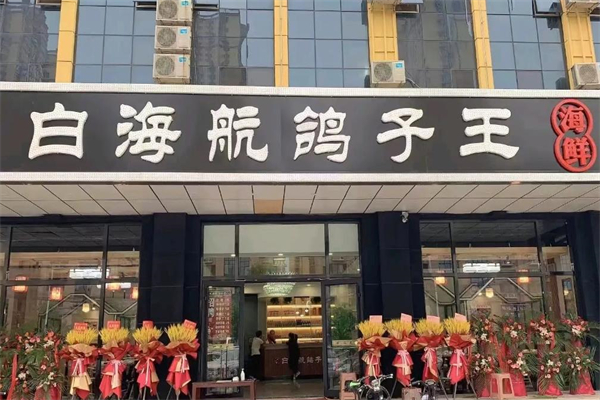 白海航鸽子王加盟