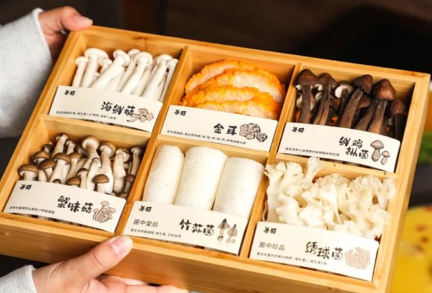 寻羽猪肚鸡加盟