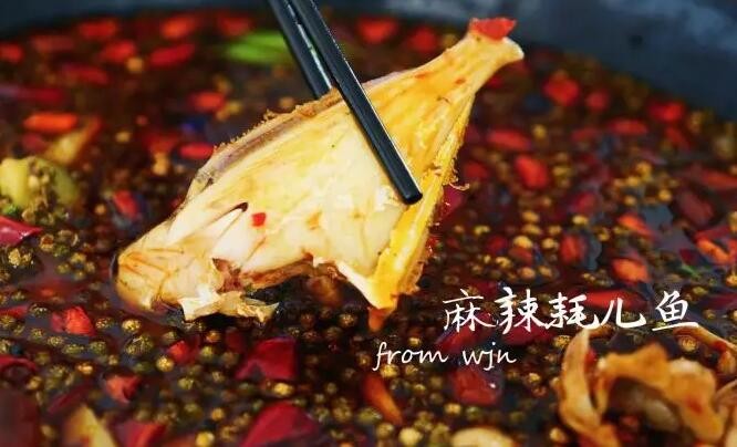 蛙将军美蛙耗儿鱼加盟