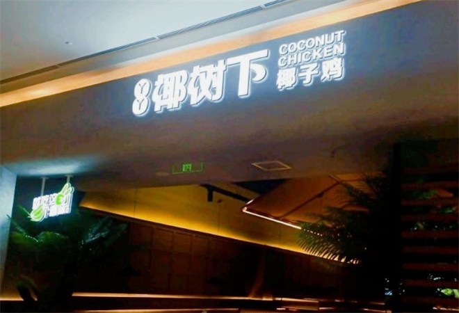 丫丫椰树下椰子鸡加盟