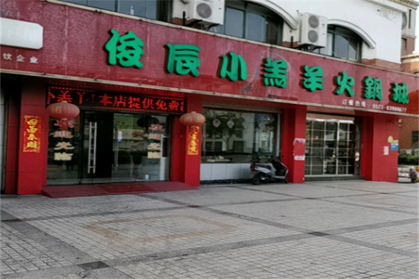俊辰小羔羊加盟