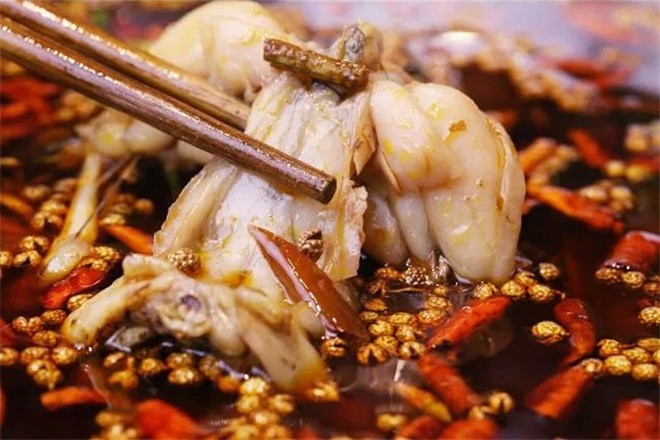 小南房鲜美蛙火锅
