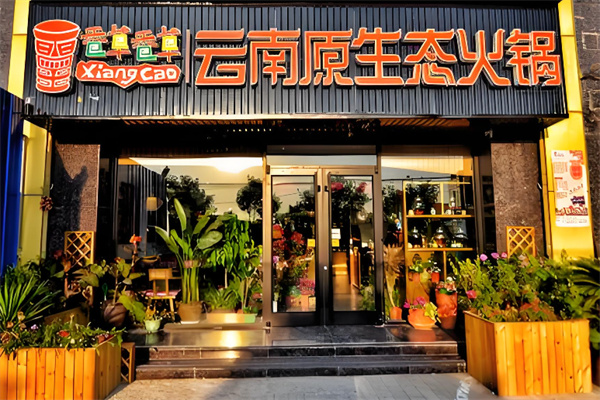 滇草香云南原生态火锅加盟