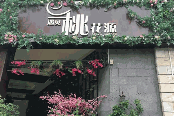 遇见桃花源音乐餐吧加盟