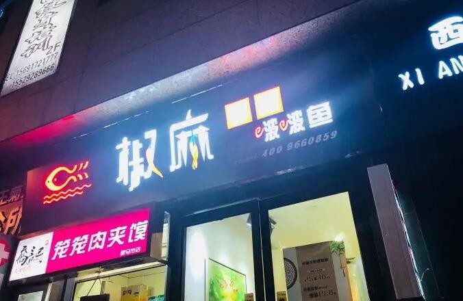 椒麻学院啵啵鱼