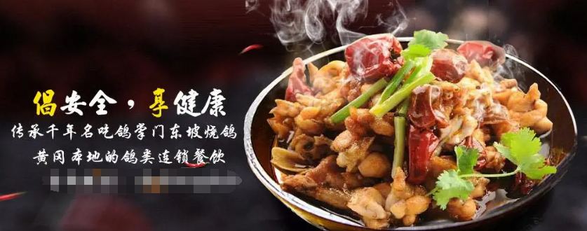 鸽掌门加盟