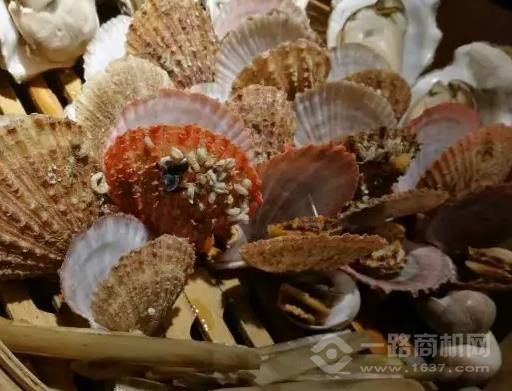俏胶东餐厅加盟 俏胶东餐厅加盟