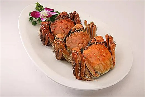 沧浪亭中餐加盟