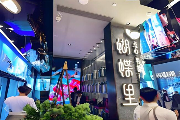 蝴蝶里加盟
