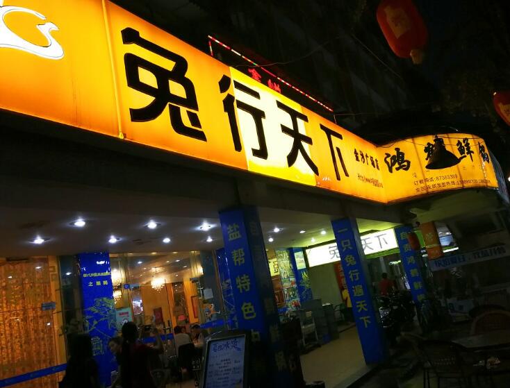 兔行天下 兔行天下