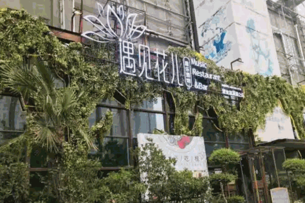 遇见花儿音乐酒馆加盟