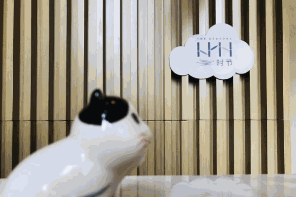 云时节西餐厅加盟