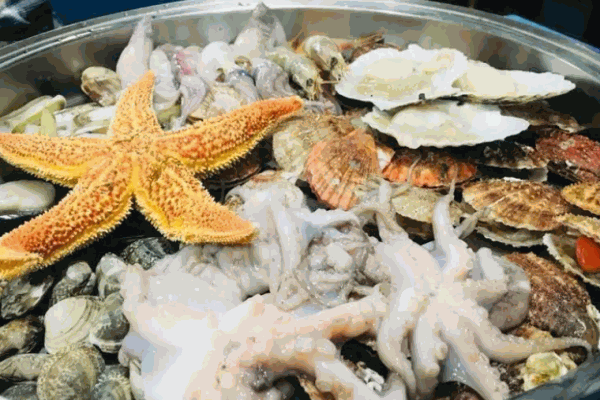 小腻海海鲜生加盟