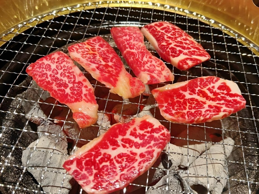 金三泰超级黑猪烤肉