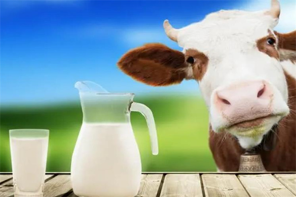 冠宇乳业加盟