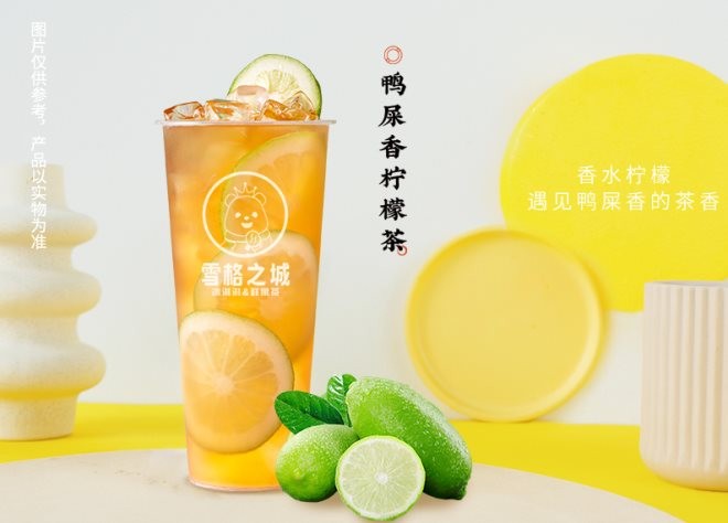 雪格之城加盟
