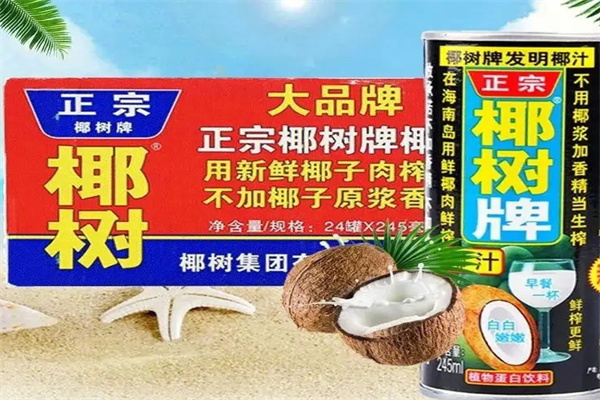 椰树牌椰汁加盟