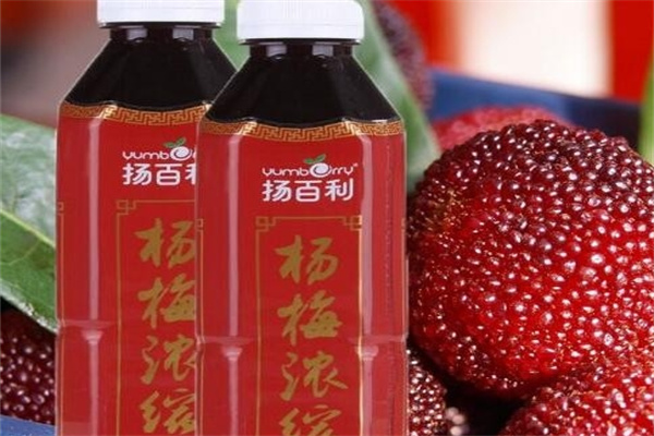扬百利果汁加盟