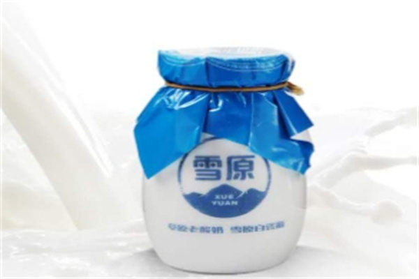 雪原酸奶加盟