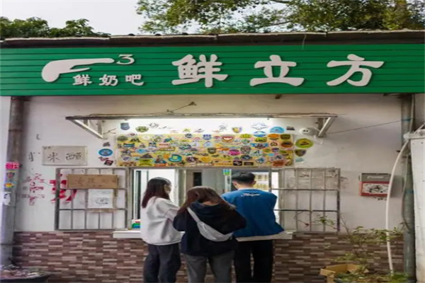 鲜立方鲜奶吧加盟