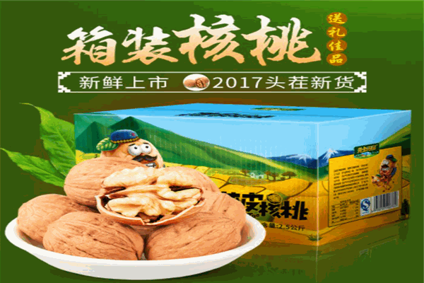 黄金田园食品加盟