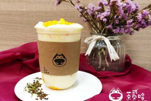 茶贰哈加盟
