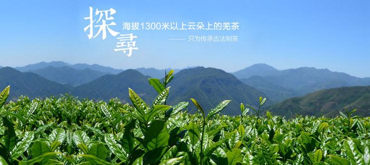 帝峰茶业加盟