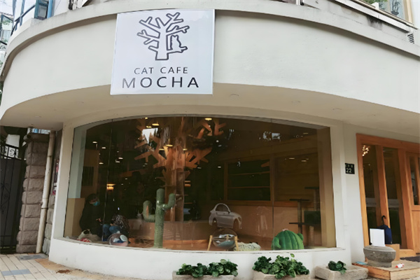 mocha猫咖加盟