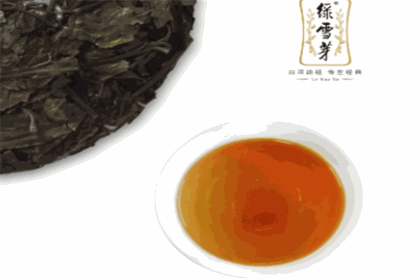 绿雪芽白茶加盟