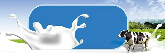 萨牛乳业加盟
