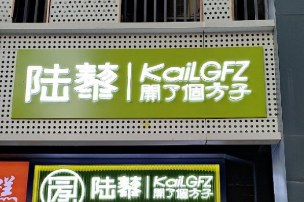 陆藜开了个方子加盟