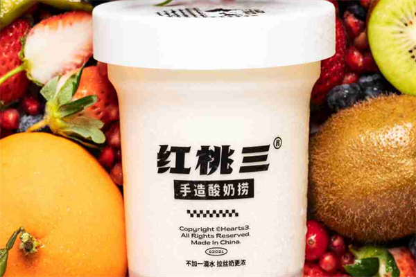 红桃三手工酸奶加盟