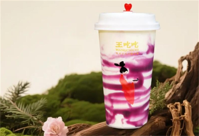 王吃吃奶皮子手工酸奶酪 王吃吃奶皮子手工酸奶酪