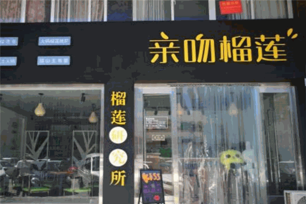 亲吻榴莲加盟