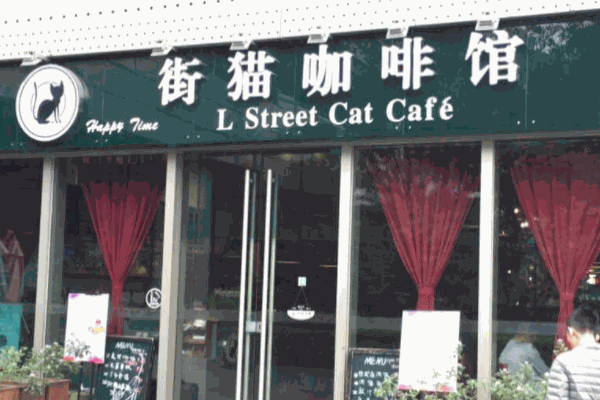 街猫咖啡加盟