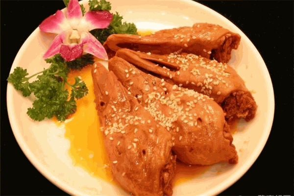 丫头记麻辣鸭头加盟