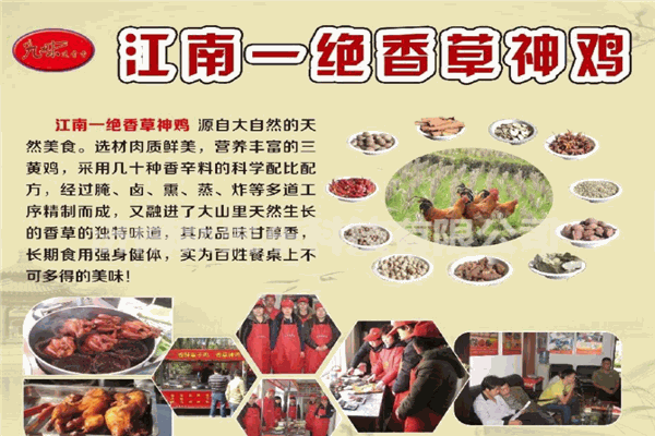 香草神鸡加盟