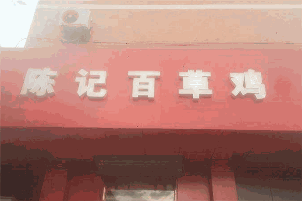 陈记百草鸡加盟