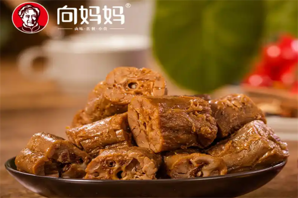 向妈妈鸭货加盟