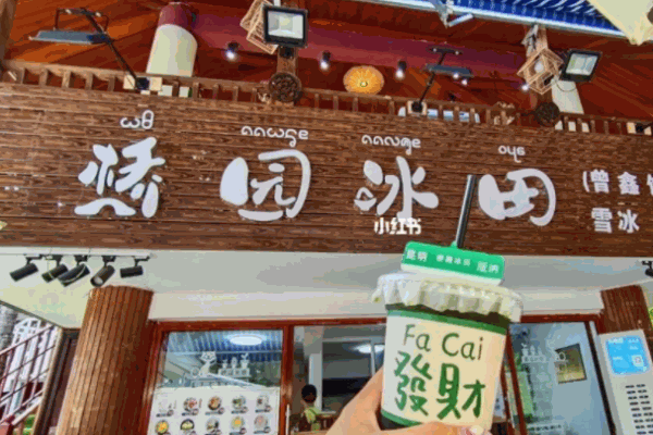 桥园冰田加盟