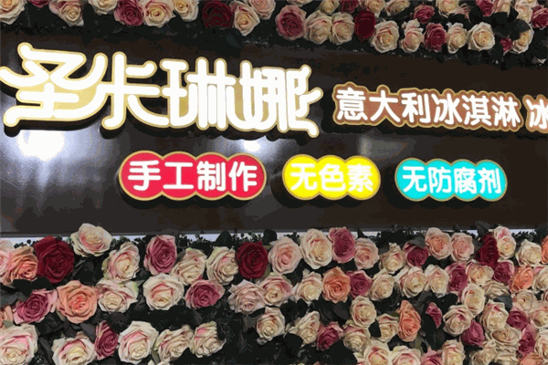 圣卡琳娜意大利冰淇淋加盟