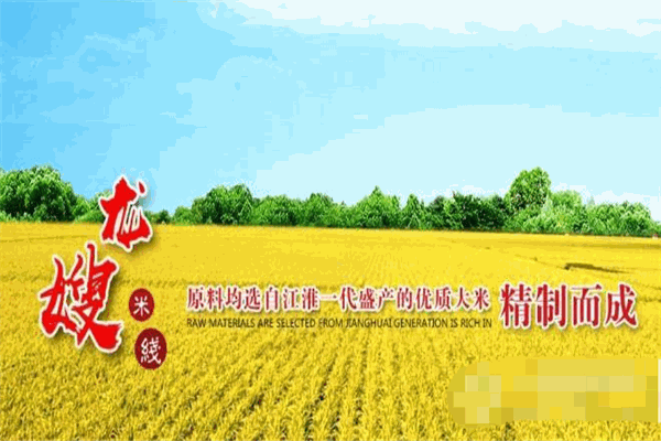 龙嫂米线加盟
