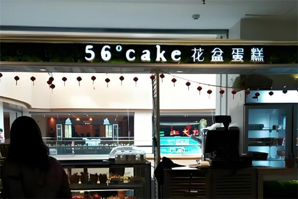 56度花盆蛋糕加盟