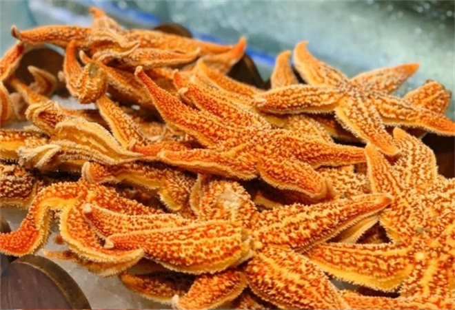 圣罗巴海鲜自助 圣罗巴海鲜自助