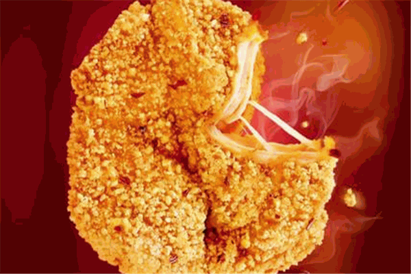 好大大绝味鸡排加盟