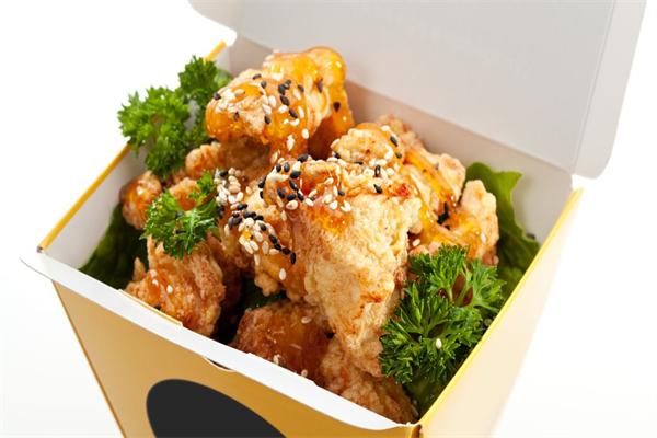 多乐先生炸鸡加盟