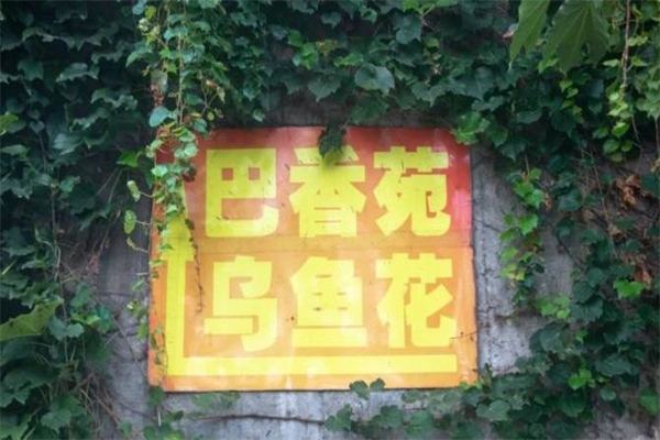 巴香苑乌鱼花加盟