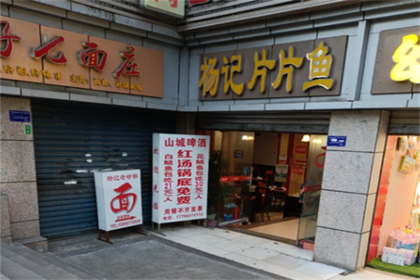 杨记片片鱼加盟