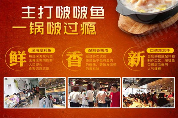 喵喵叫啵啵鱼加盟
