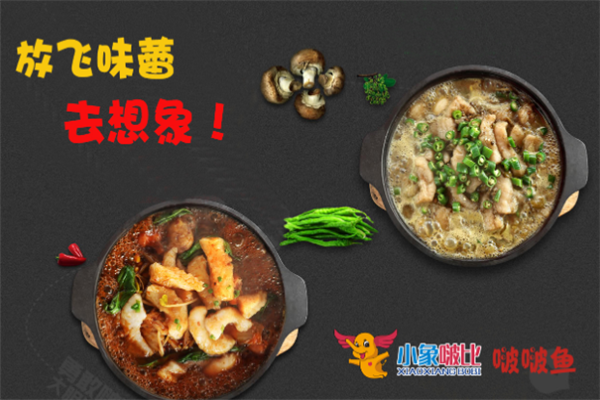 小象啵比啵啵鱼加盟